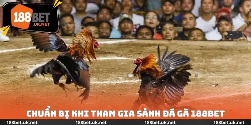 Chuẩn bị khi tham gia sảnh đá gà 188bet
