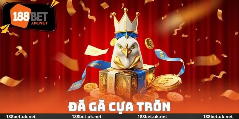 Đá Gà Cựa Tròn