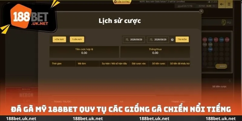 Đá gà Mỹ 188bet quy tụ các giống loài nổi tiếng