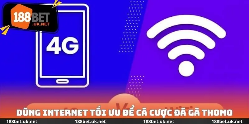 Dùng Internet tối ưu để cá cược đá gà Thomo