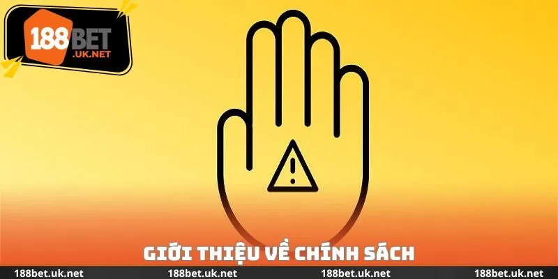 Giới thiệu về chính sách