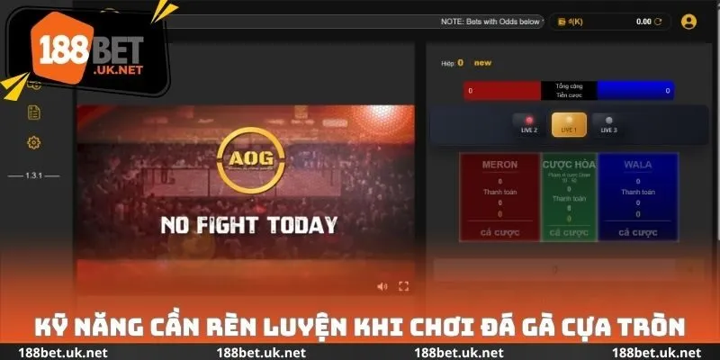 Kỹ năng cần rèn luyện khi chơi đá gà cựa tròn