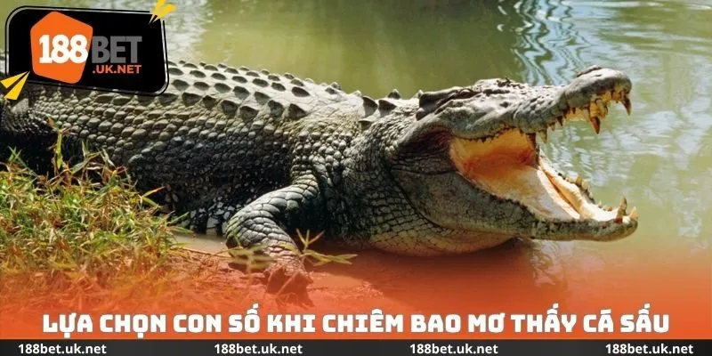 Lựa chọn con số khi chiêm bao mơ thấy cá sấu